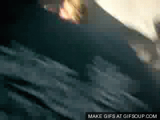 2990876_o.gif