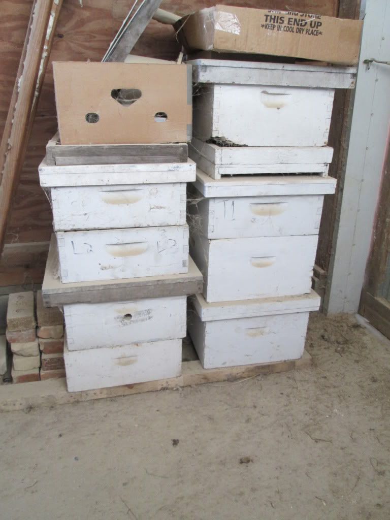 What are my two bee hives worth? - Homesteading Questions