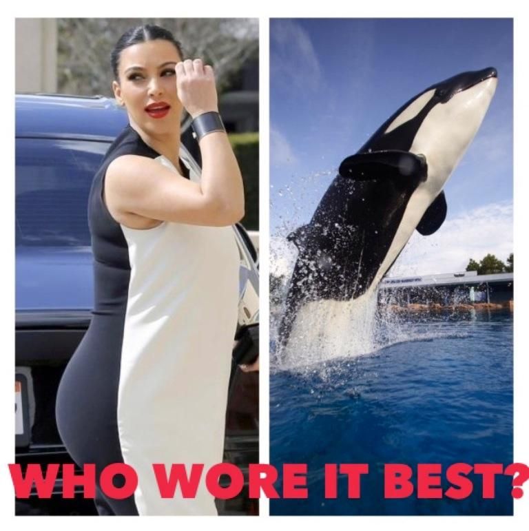 twowhales_zps5007ad4d.jpg