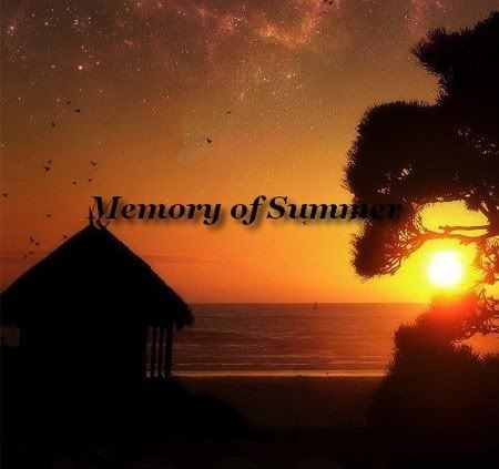 2011 VA Memory of Summer Full Albüm 2011 VA Memory of Summer Full Albüm