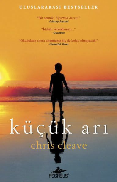 Chris Cleave - Küçük Arı E Book Chris Cleave - Küçük Arı E Book