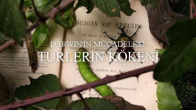 BBC Darwinin Mücadelesi Türlerin Kökeni Türkçe Dublaj DVDRip XViD BBC Darwinin Mücadelesi Türlerin Kökeni Türkçe Dublaj DVDRip XViD