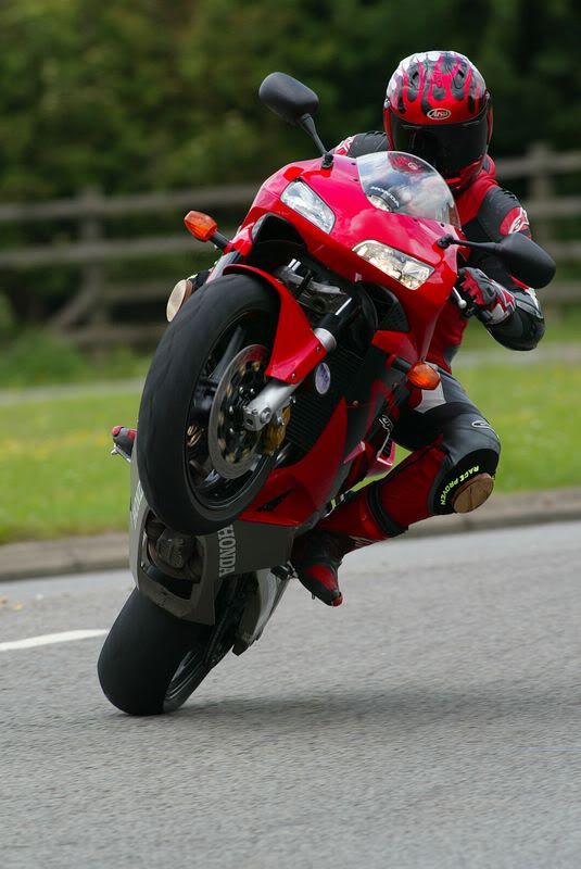 honda-cbr954rr-wheelie.gif picture by funrockerjai