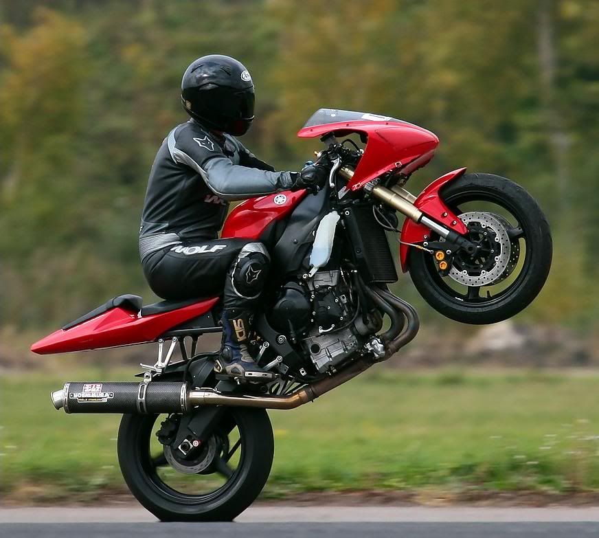 honda-cbr954rr-wheelie.gif picture by funrockerjai