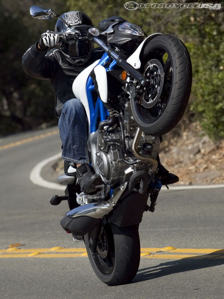 gladius_wheelie.jpg picture by funrockerjai