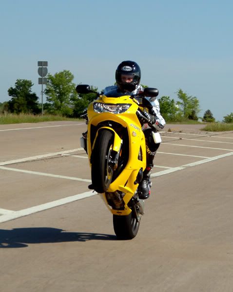 honda-cbr954rr-wheelie.gif picture by funrockerjai