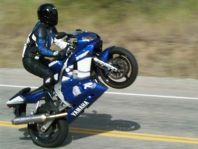 honda-cbr954rr-wheelie.gif picture by funrockerjai