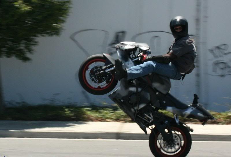 CBR954highchairwheelie.jpg