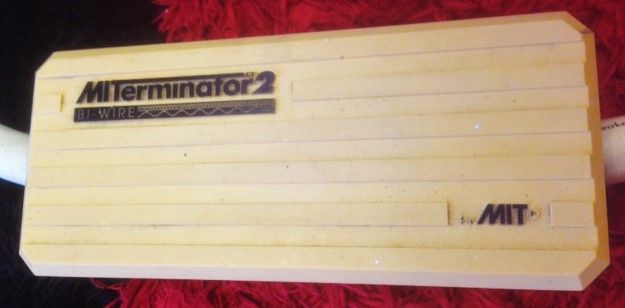 MITermintator%202%20A.jpg