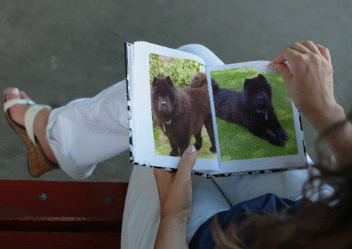 Teddy Bear Book