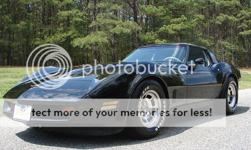 73 popularity theory - CorvetteForum - Chevrolet Corvette Forum Discussion