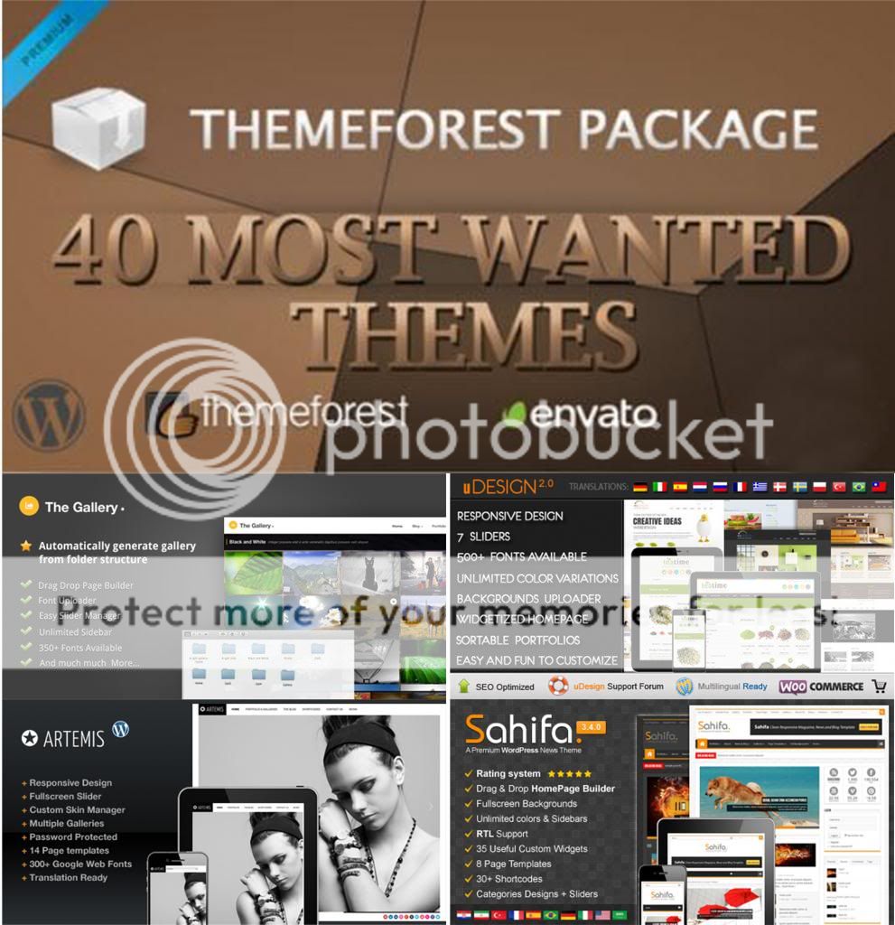 Themeforest Packages  40 Most Wanted Premium WordPress Themes